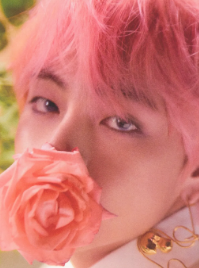 Taehyung (V)