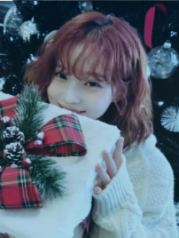 Xmas Winter